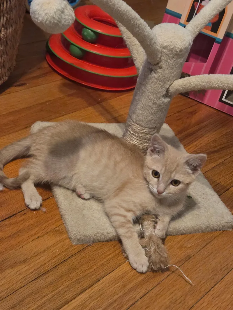 Theo And Hunter thumbnail 3