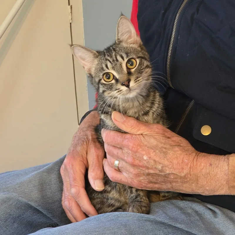 Theo And Hunter thumbnail 4