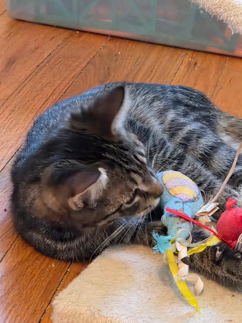 Theo And Hunter thumbnail 5