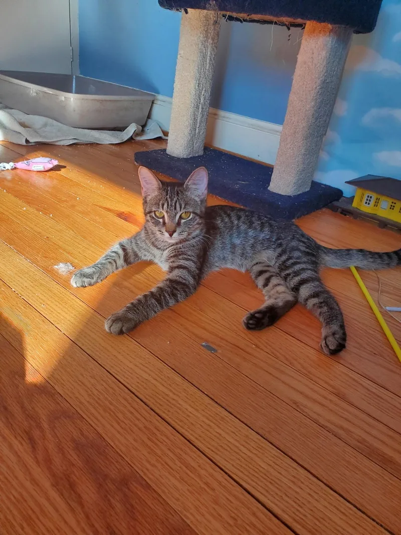 Theo And Hunter thumbnail 6