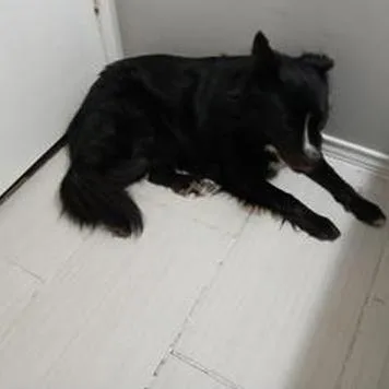 Maggie Moo thumbnail 2