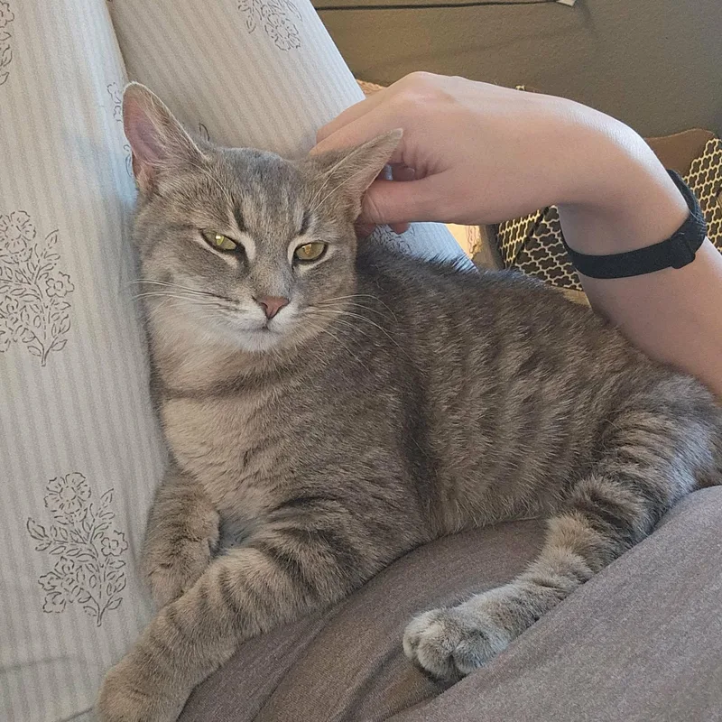 Thumbelina thumbnail 2