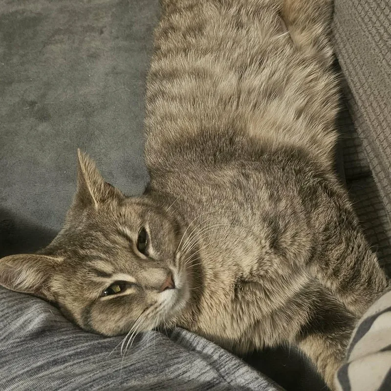 Thumbelina thumbnail 5