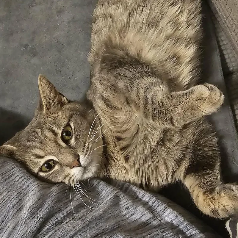 Thumbelina thumbnail 6