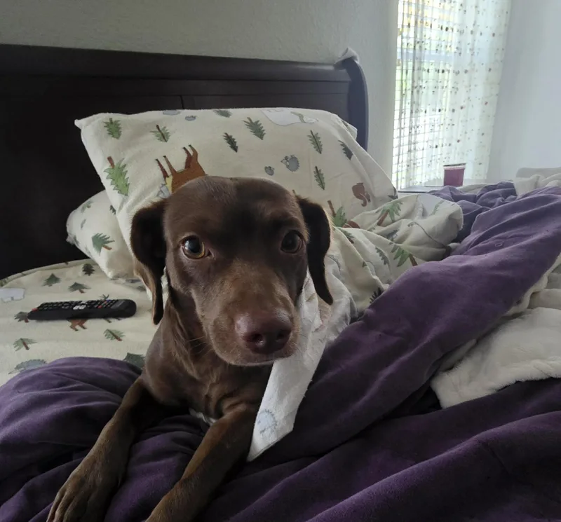Josie thumbnail 5