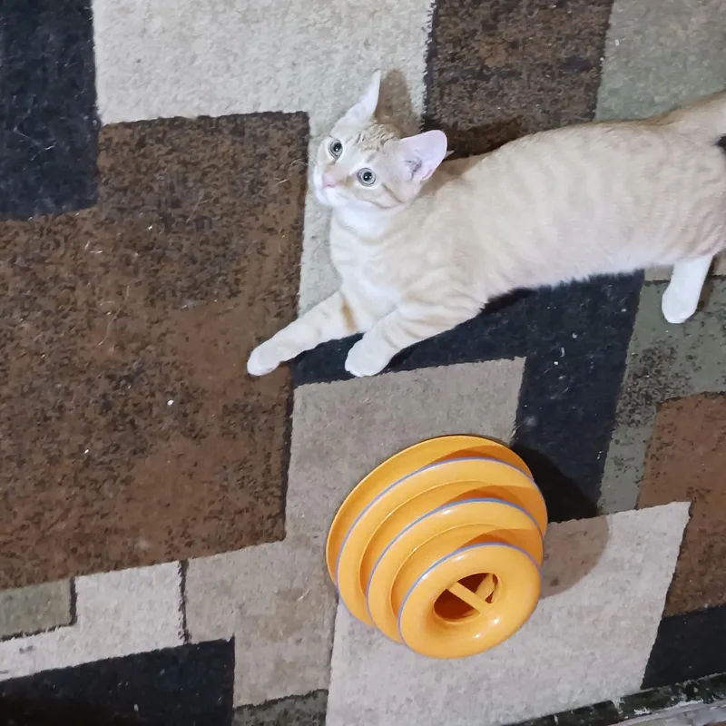 Twix thumbnail 2