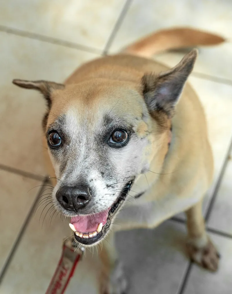 Happy Harlem thumbnail 3