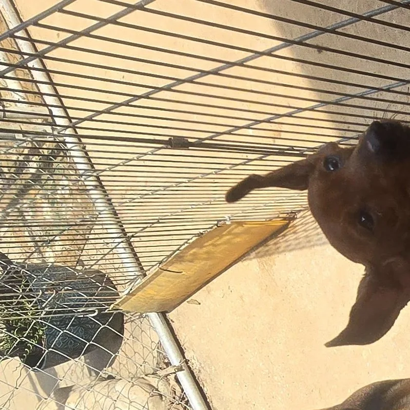 Slinky thumbnail 2