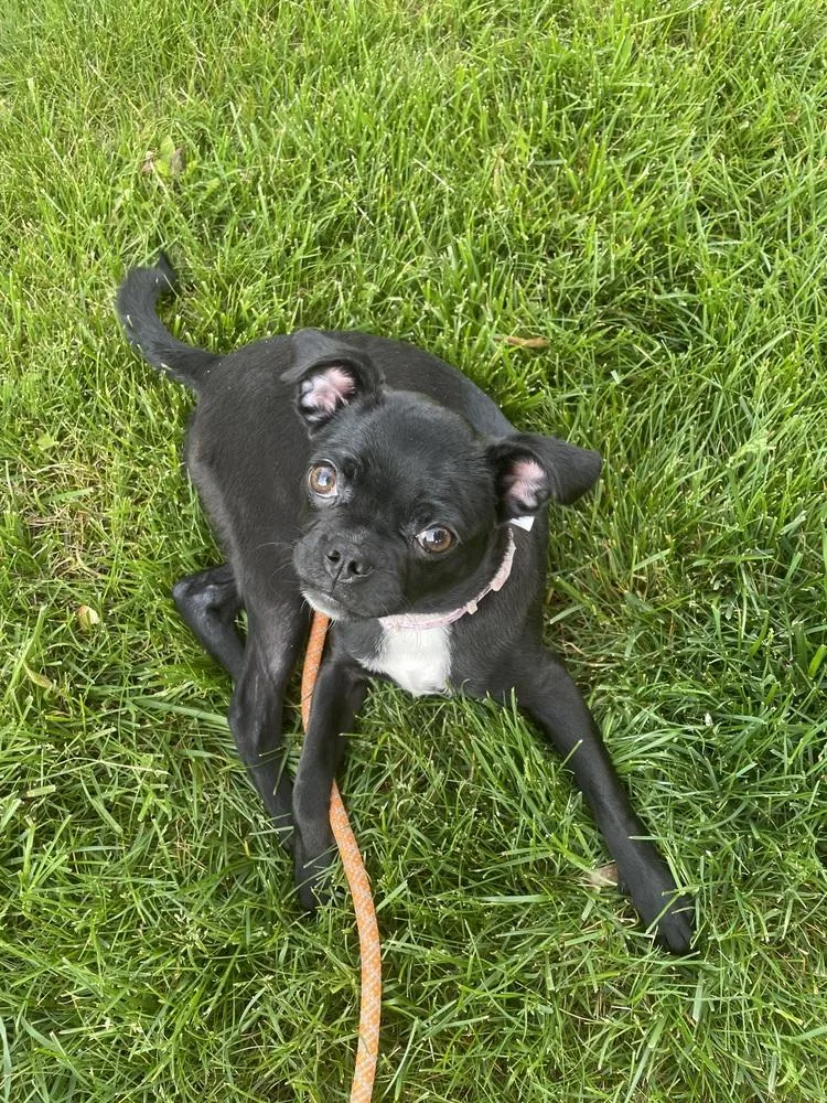 Chloe