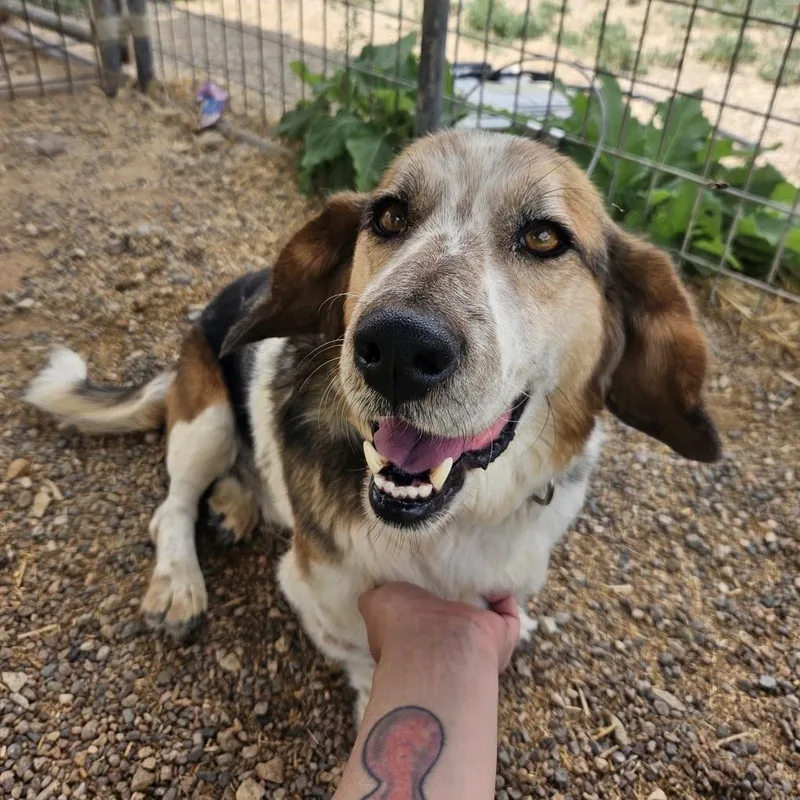 Max