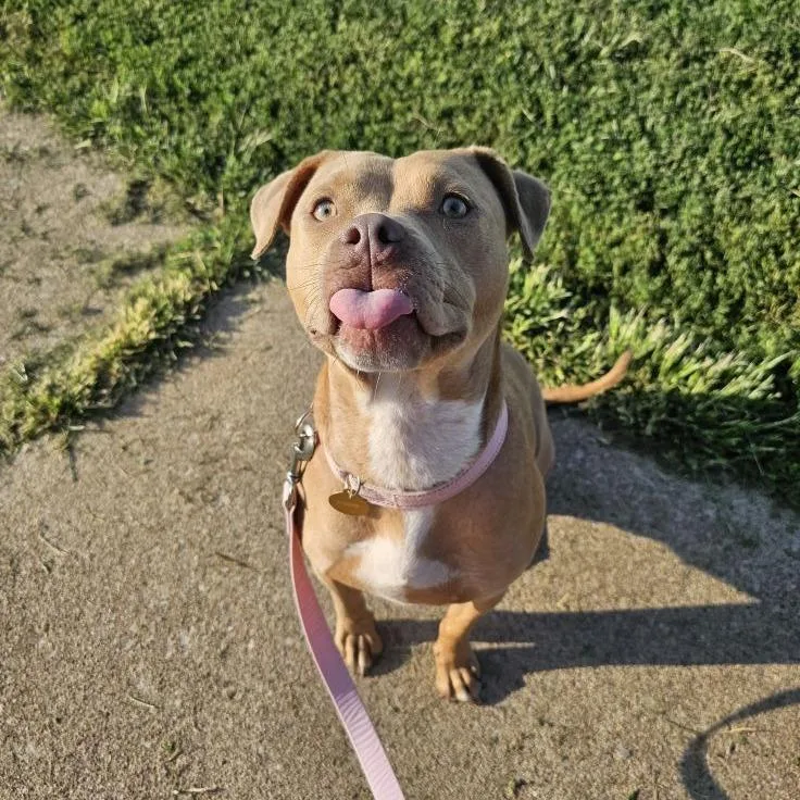 Catherine Zeta Bones thumbnail 2