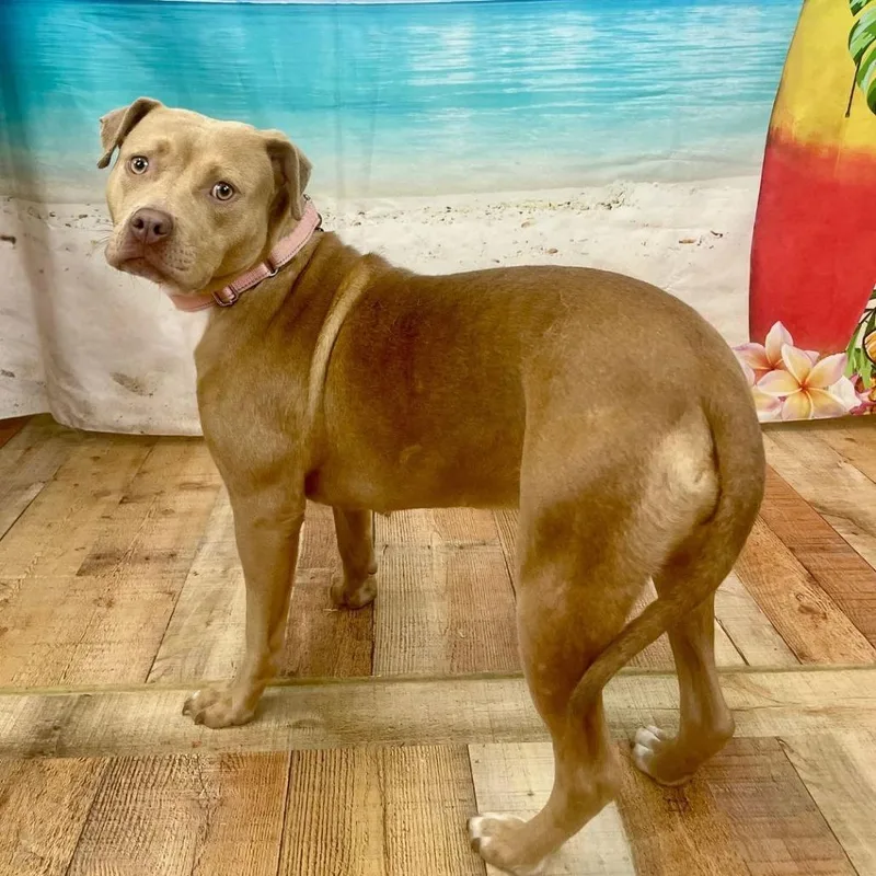 Catherine Zeta Bones thumbnail 3