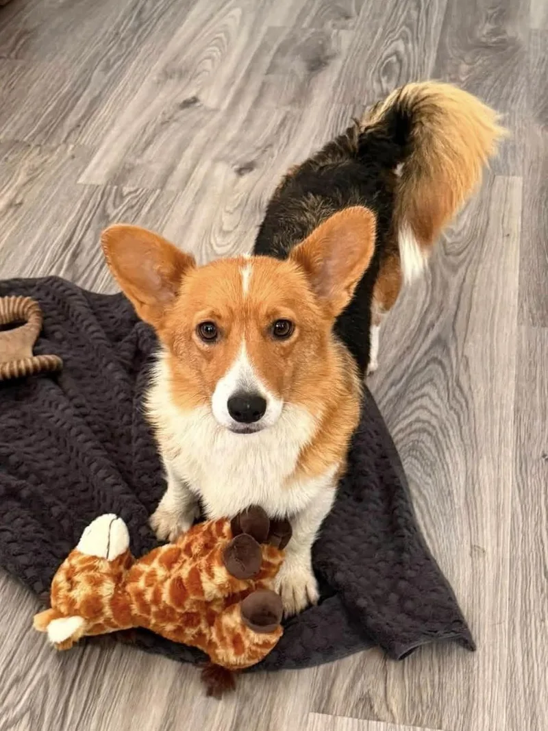 Maggie
