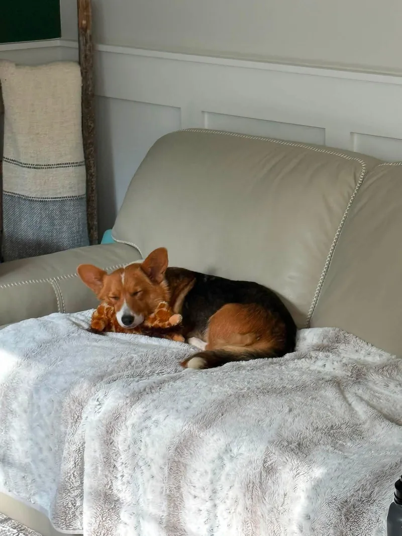 Maggie thumbnail 2