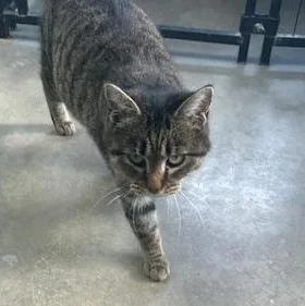 Little Bit thumbnail 2