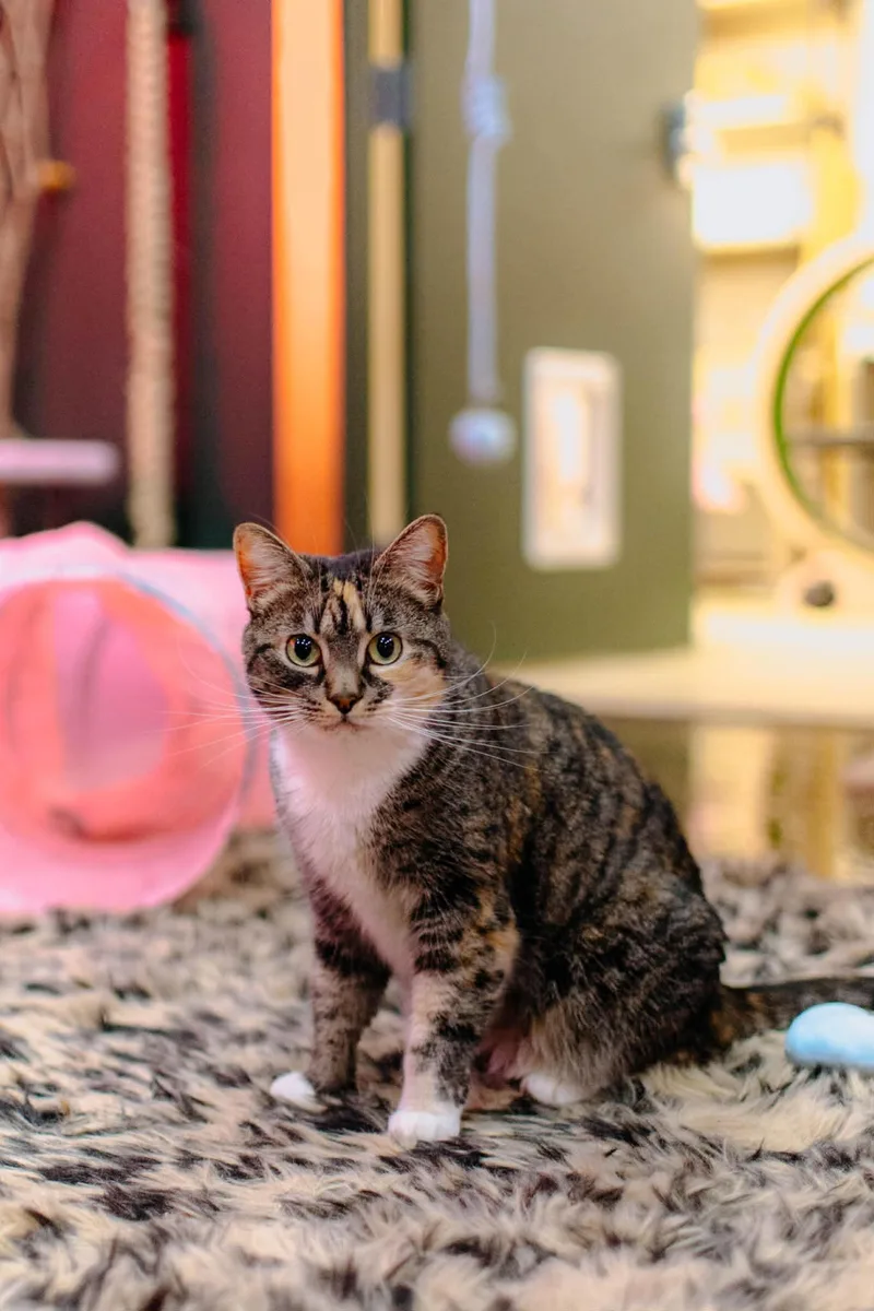 Bella & Lucky thumbnail 3