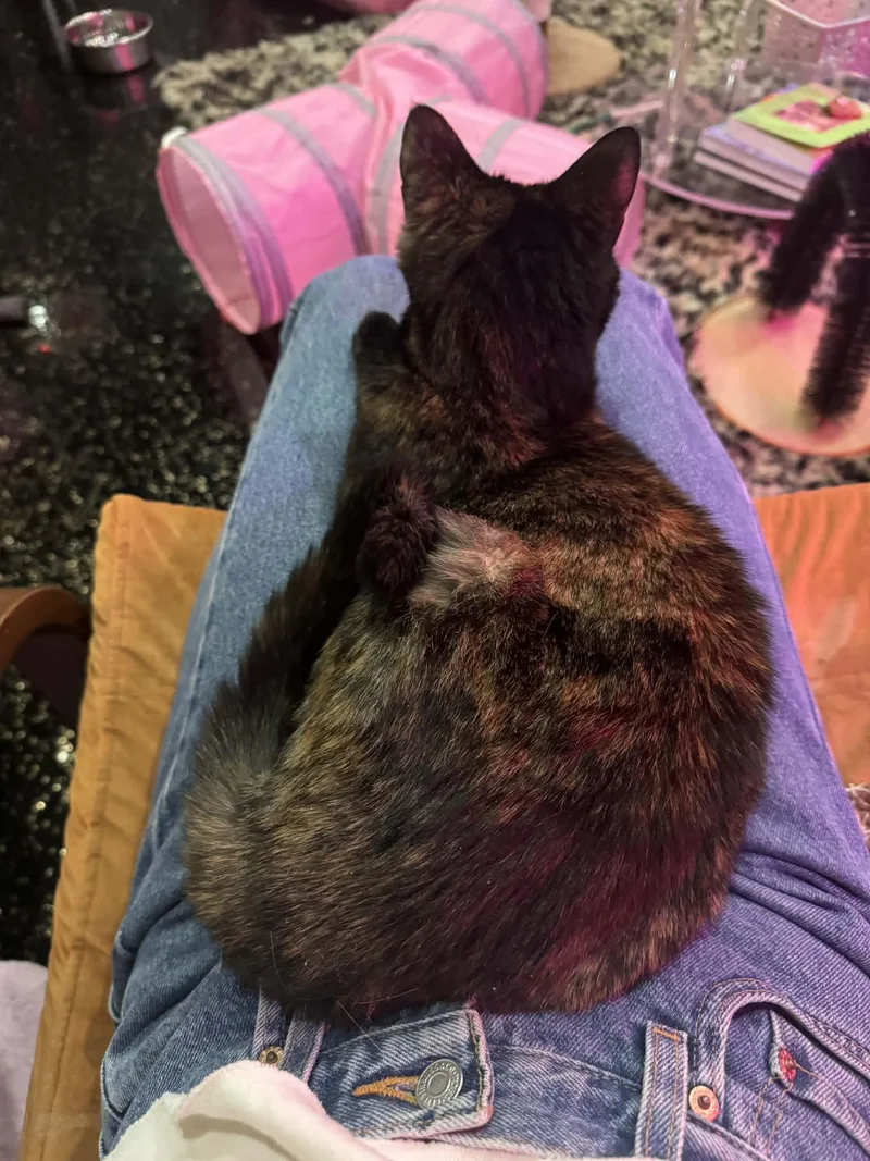 Bella & Lucky thumbnail 5