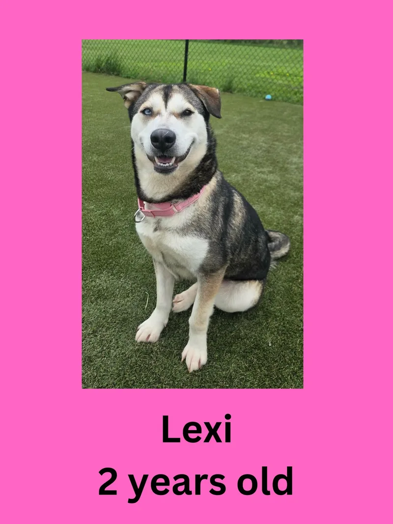 Lexi