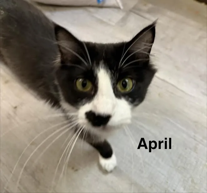April