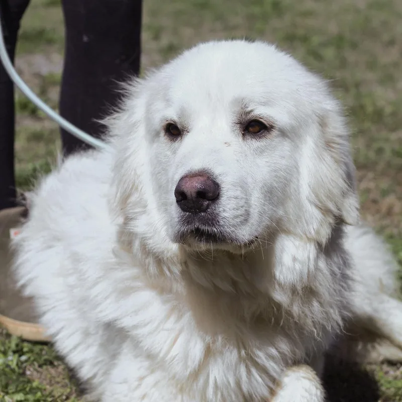 White Out thumbnail 3