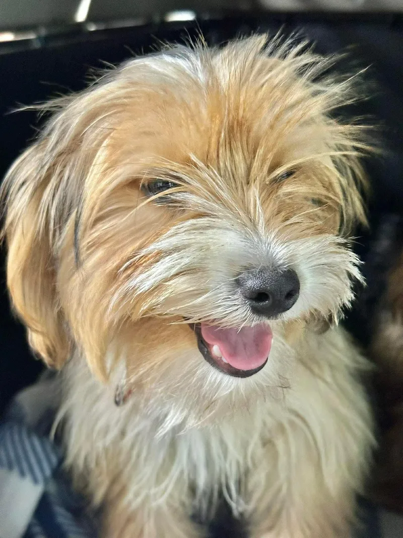 Sonny Eg In Ms thumbnail 2