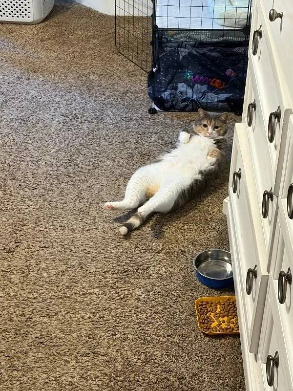 Elle thumbnail 2