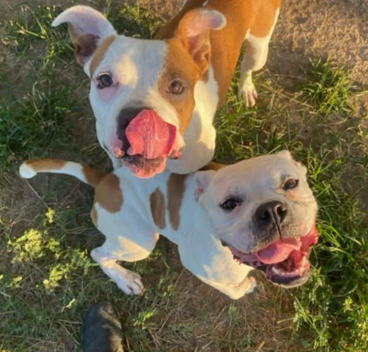 Nelly And Cassius thumbnail 3