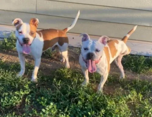 Nelly And Cassius thumbnail 5