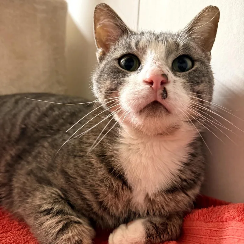 Lightning thumbnail 6