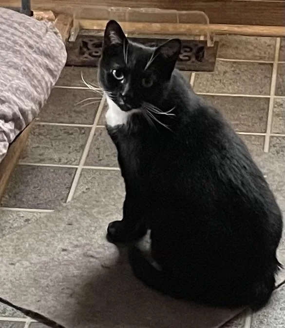 Fiona Orchard thumbnail 2