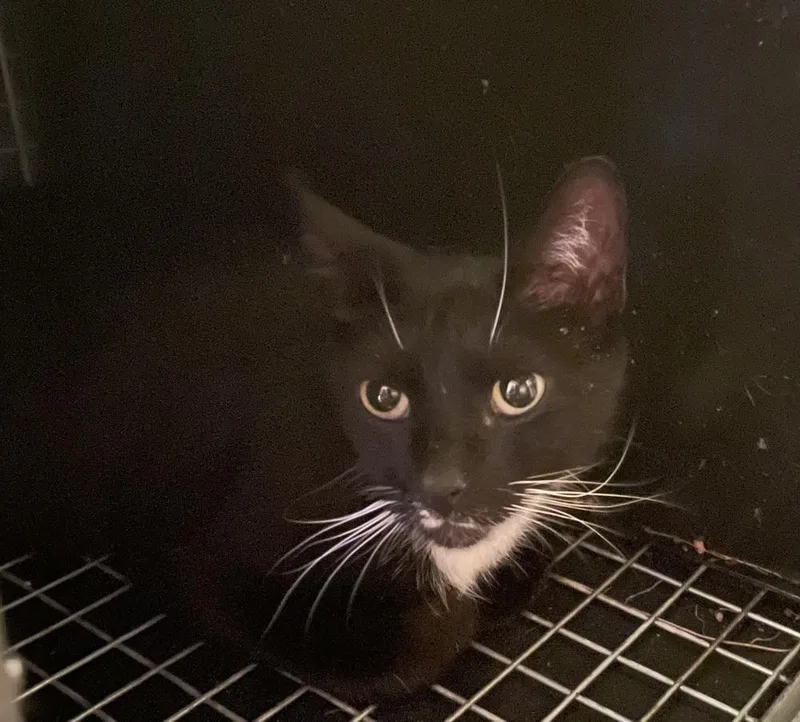 Fiona Orchard thumbnail 3