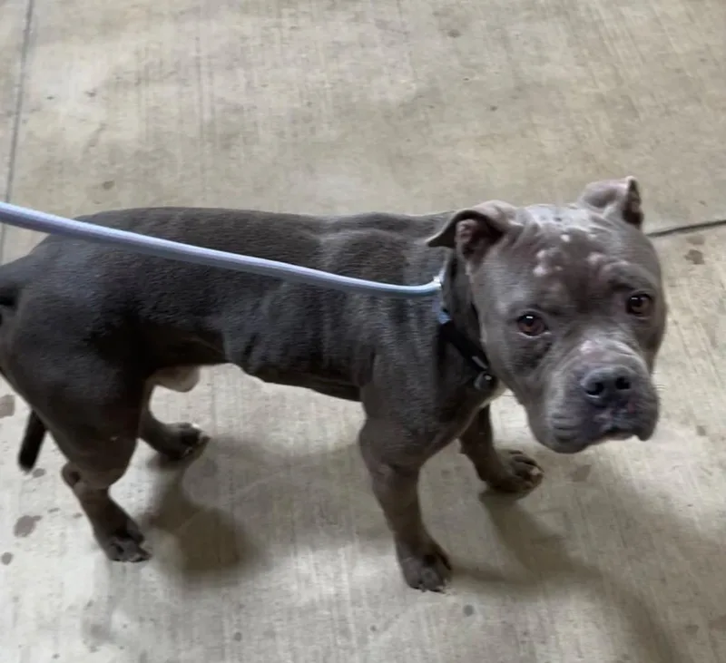 Einstein thumbnail 2