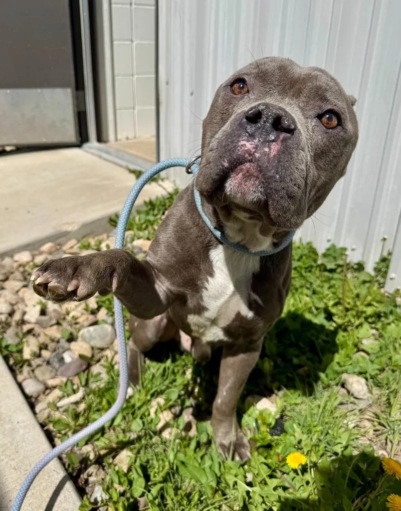 Einstein thumbnail 3