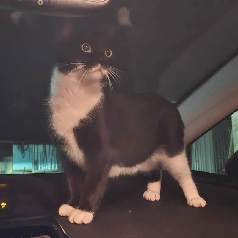 Kiki thumbnail 3