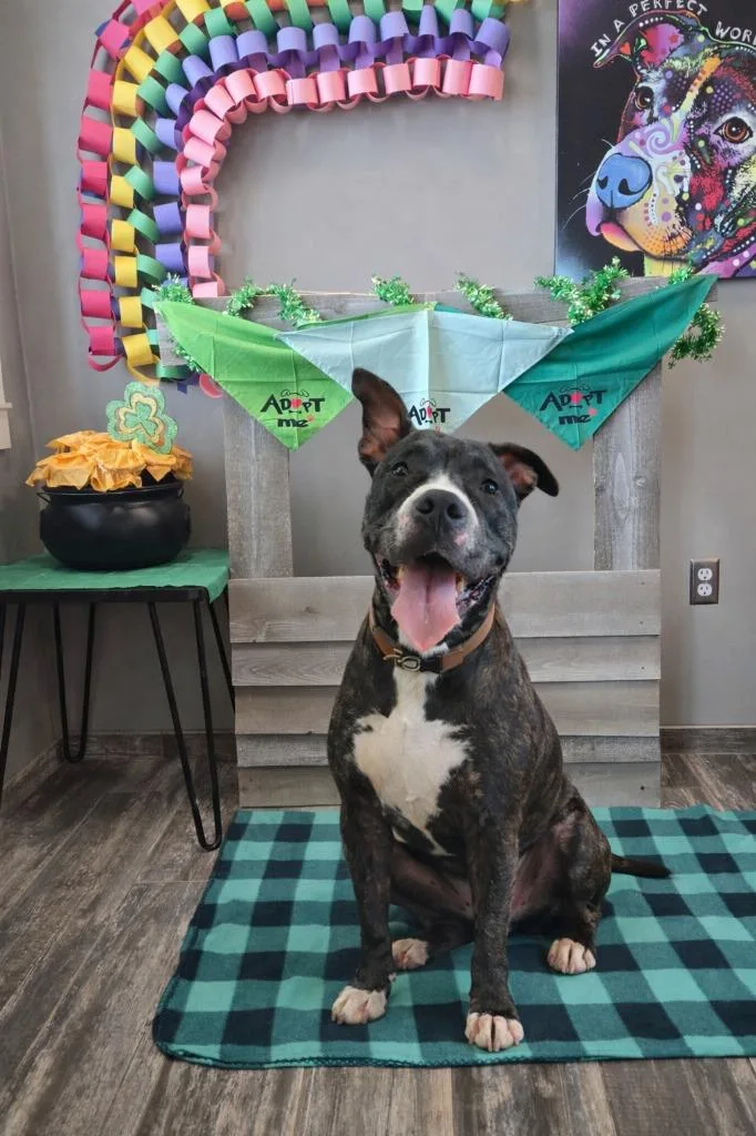 Dallas Yrly thumbnail 2