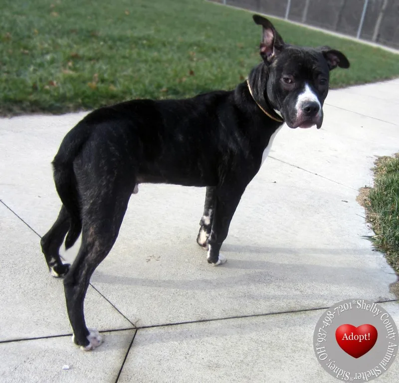 Dallas Yrly thumbnail 6