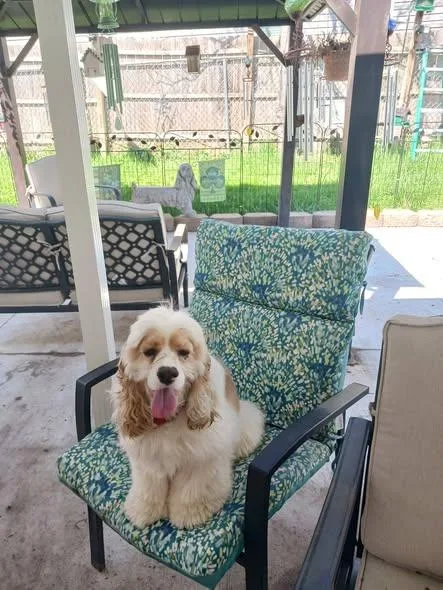 Bud  & Older thumbnail 2