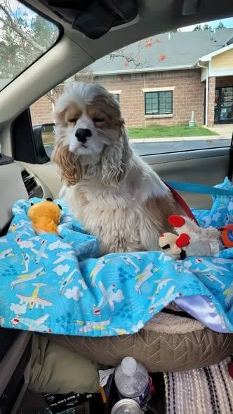 Bud  & Older thumbnail 3