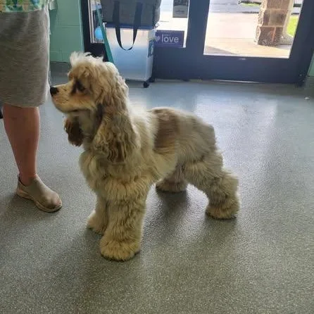 Bud  & Older thumbnail 4