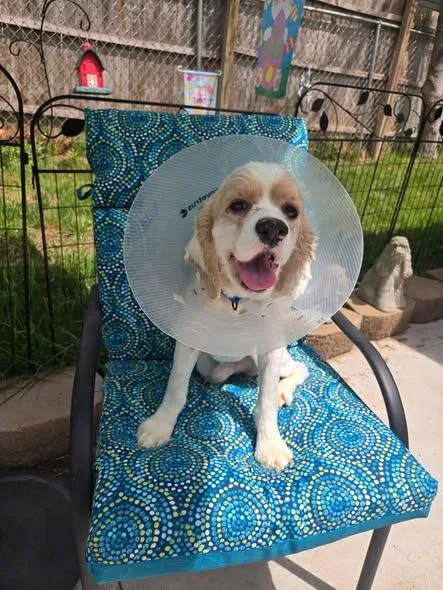 Bud  & Older thumbnail 5