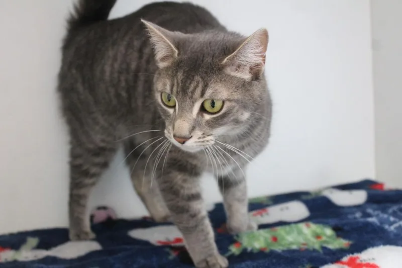 Ruby Sue thumbnail 2