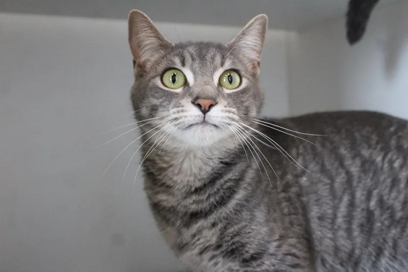 Ruby Sue thumbnail 3