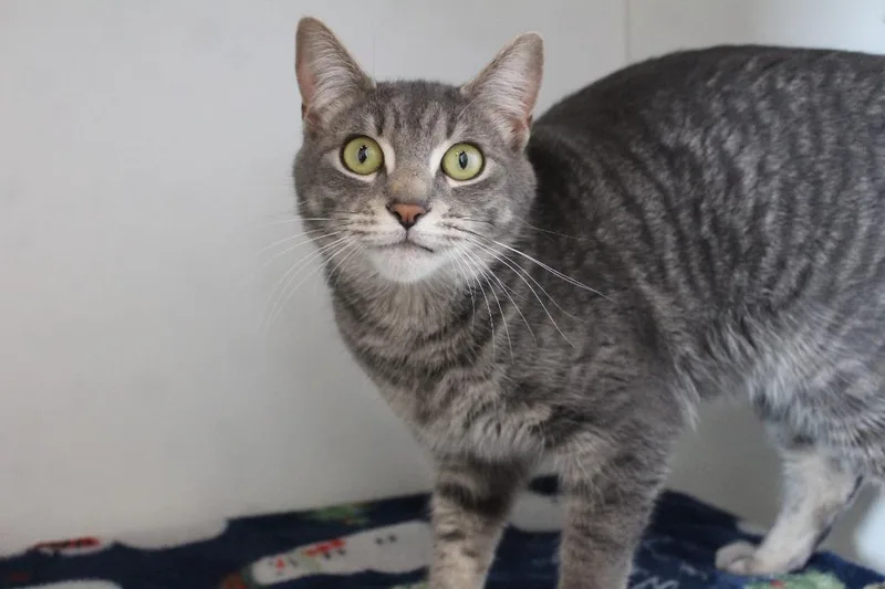 Ruby Sue thumbnail 4