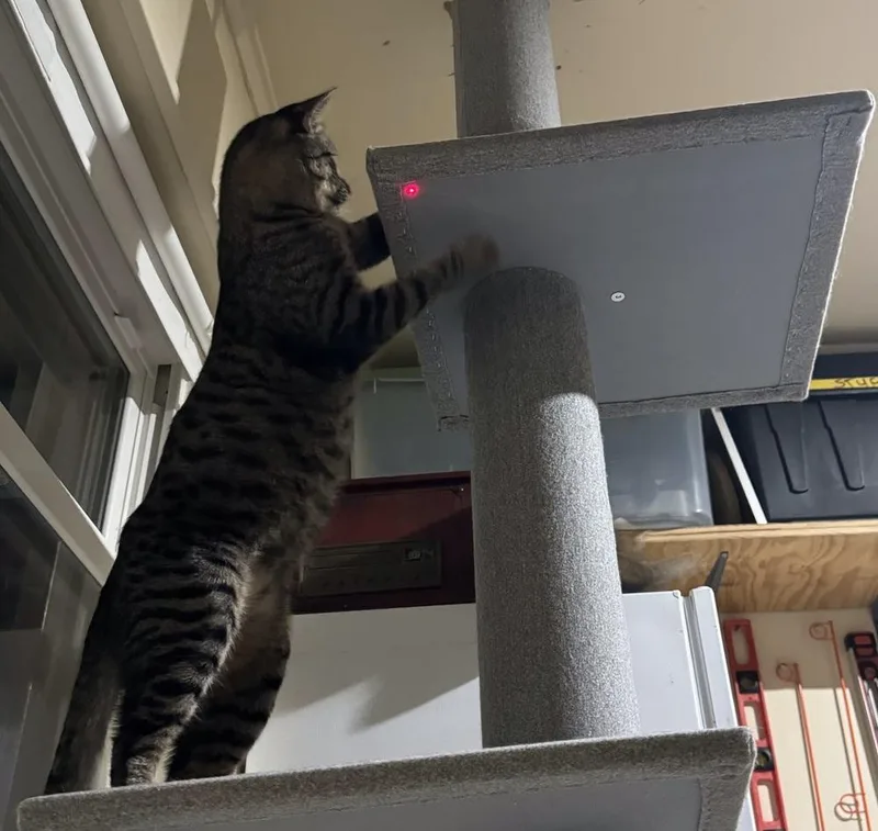 Kirkland thumbnail 2