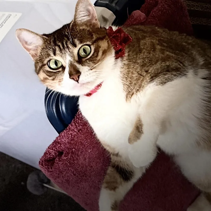 Misha thumbnail 3