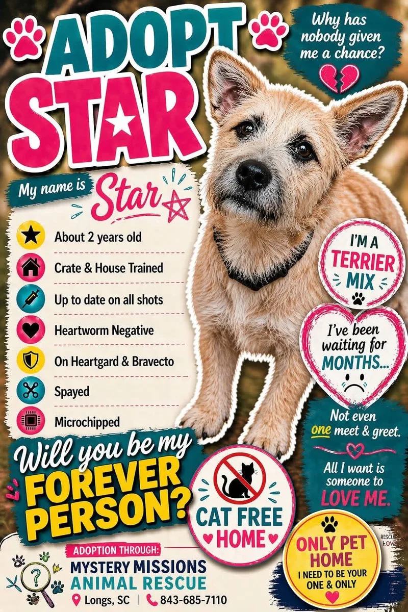Star thumbnail 2