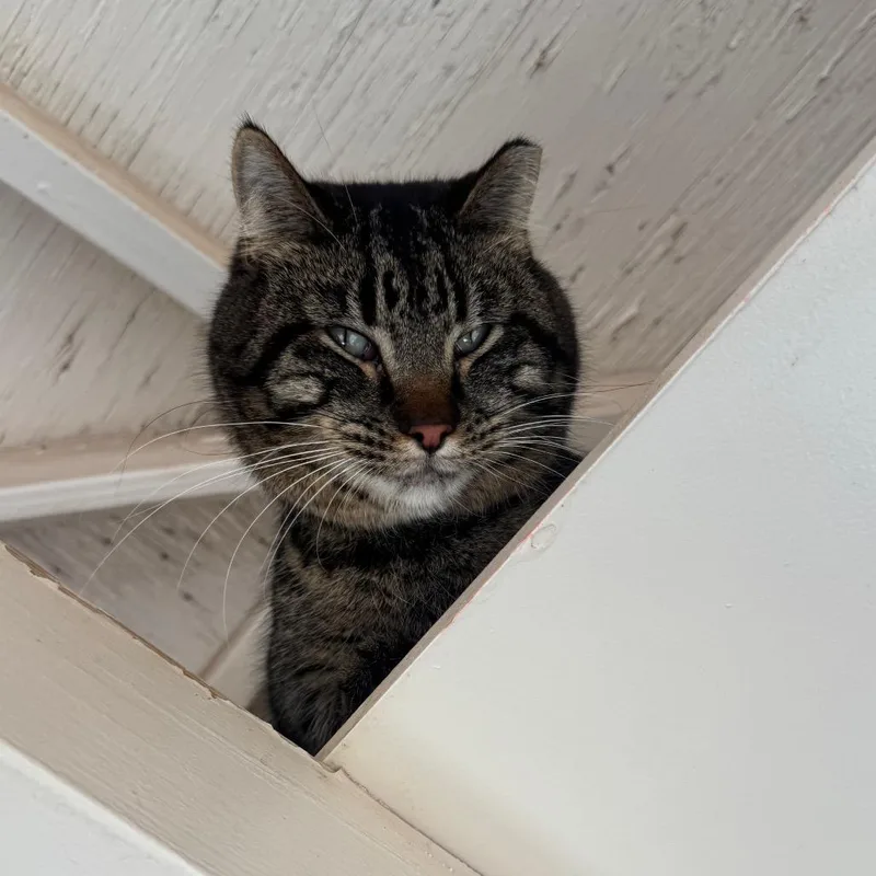 Kendrick thumbnail 2