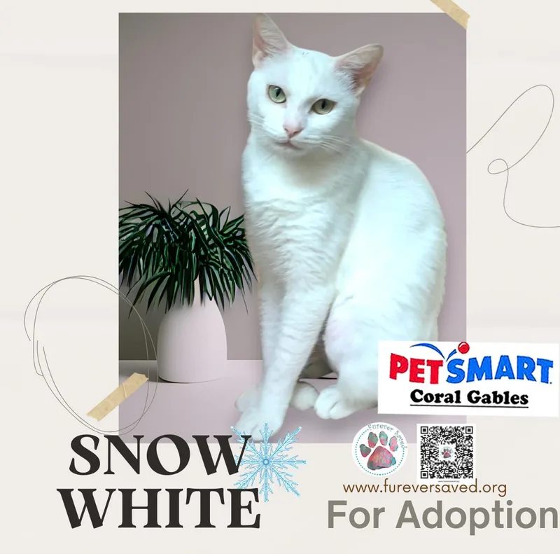 Snow White thumbnail 2