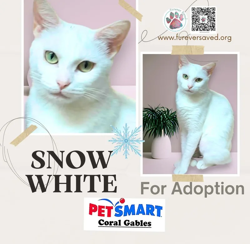 Snow White thumbnail 3