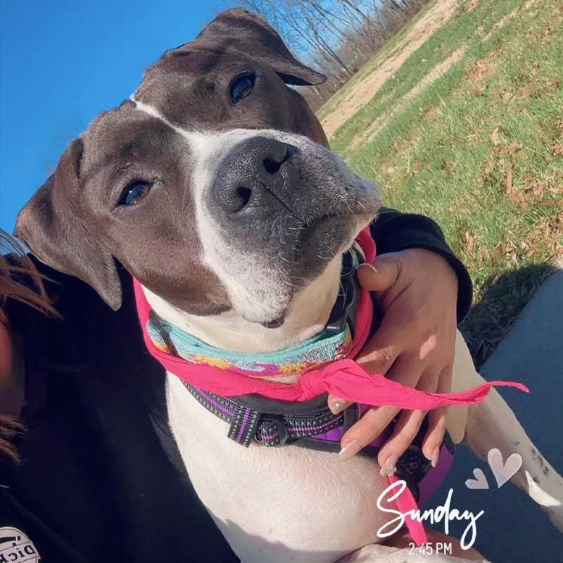 Morticia thumbnail 2